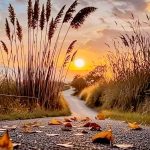 YOLUN SONUNDA GÜNƏŞ VAR