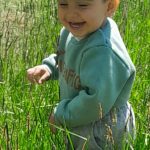 Bala şirin, nəvə şipşirin – şeir