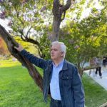 HƏQİQƏT AXTARAN ŞAİRİN QÜRBƏT DUYĞULARI – ABBAS İLHAM
